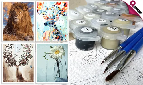 DIY Painting by Numbers Kit!